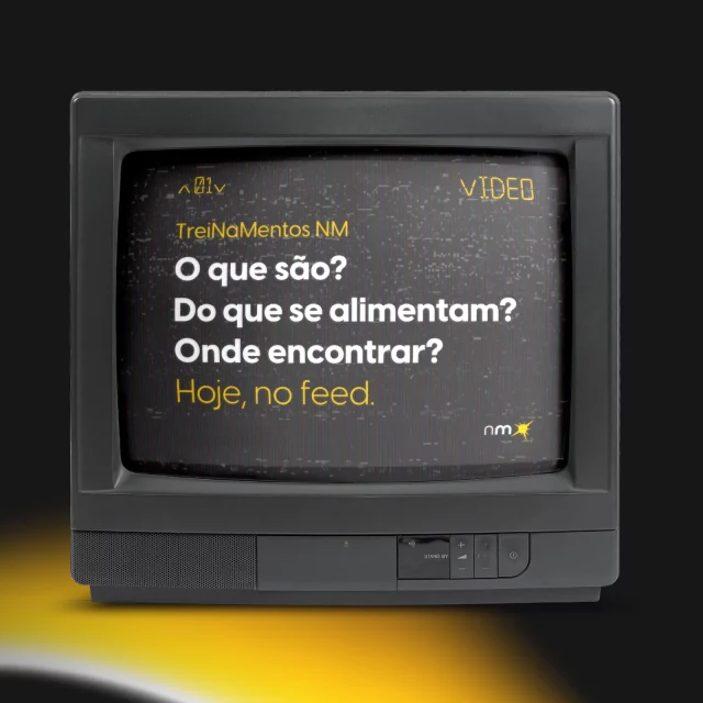 Imagine um ecossistema diverso e em equilíbrio, onde o conhecimento é compartilhado e clientes e agência vivem em harmonia. Parece difícil de acreditar? É que você ainda não conhece os TreiNaMentos New Mind.

Aqui, nós criamos pontes para eliminar falhas e elevamos o pontecial do nosso time com novas maneiras de, juntos, chegarmos ao sucesso.

Esses TreiNaMentos não são apenas fascinantes – eles são um overdelivery para os nossos clientes! Sim, na New Mind, levamos essas experiências até você, online ou presencialmente, criando um ambiente onde o crescimento floresce.

Quer explorar esse mundo com a sua equipe? Entre em contato e descubra mais sobre essas criaturas raras que estão prontas para transformar o seu negócio.

#agencia #marketing #comunicacao #TreiNaMentos #fazsentido