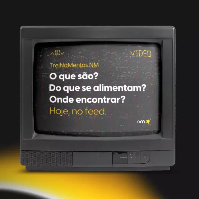 Imagine um ecossistema diverso e em equilíbrio, onde o conhecimento é compartilhado e clientes e agência vivem em harmonia. Parece difícil de acreditar? É que você ainda não conhece os TreiNaMentos New Mind.

Aqui, nós criamos pontes para eliminar falhas e elevamos o pontecial do nosso time com novas maneiras de, juntos, chegarmos ao sucesso.

Esses TreiNaMentos não são apenas fascinantes – eles são um overdelivery para os nossos clientes! Sim, na New Mind, levamos essas experiências até você, online ou presencialmente, criando um ambiente onde o crescimento floresce.

Quer explorar esse mundo com a sua equipe? Entre em contato e descubra mais sobre essas criaturas raras que estão prontas para transformar o seu negócio.

#agencia #marketing #comunicacao #TreiNaMentos #fazsentido